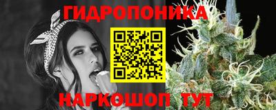 Альфа ПВП Севастополь