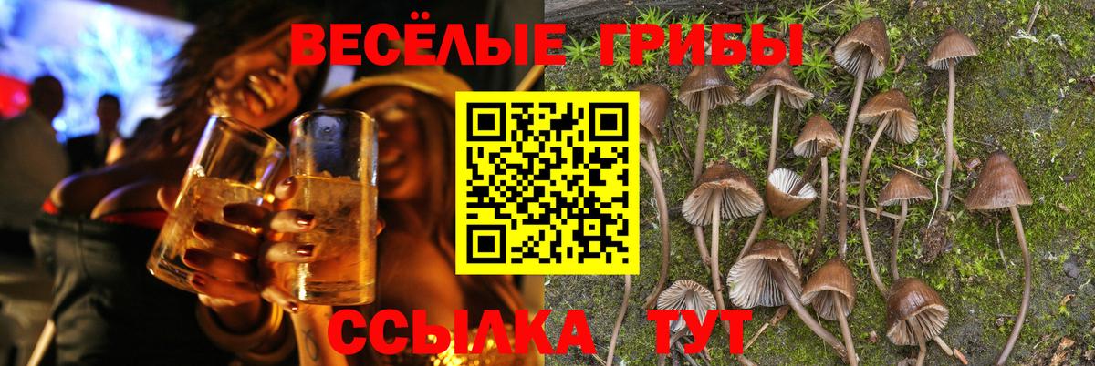 купить закладку  Псилоцибиновые грибы Cubensis  Вход с VPN  Псилоцибиновые грибы мицелий  Родники 